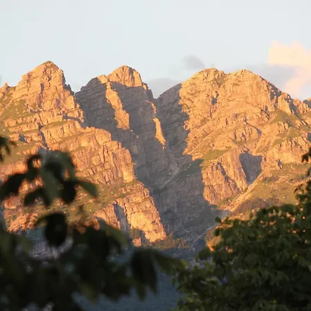 酒店 阿尔贝利酒店 莱科